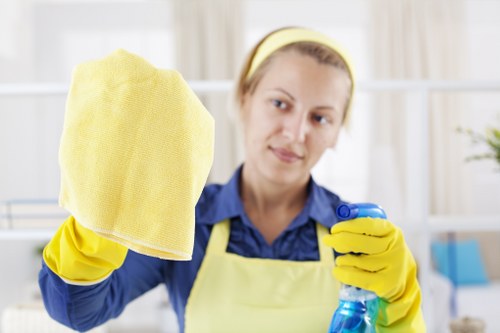 Trusted domestic cleaner working in a Lambeth apartment with tidy interior