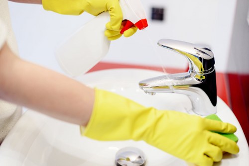 Reviewing deep cleaning service issue with booking records