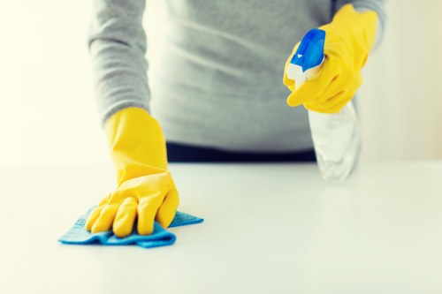Bright, streak-free glass after a professional window clean in Lambeth