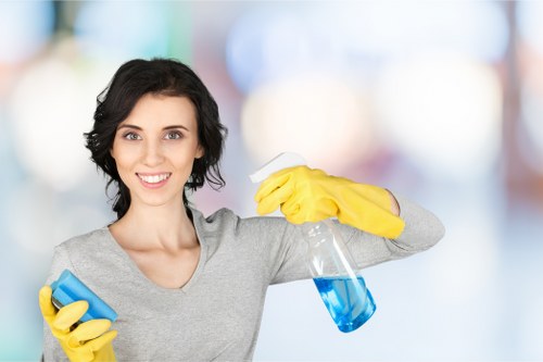 Upholstery care for a flat or apartment in Lambeth