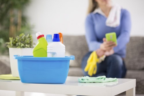 Cleaning products and equipment arranged for a property deep clean