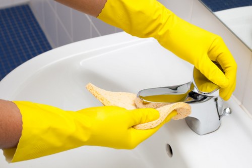 Deep cleaning detail work in a Lambeth bathroom